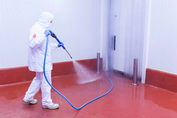 Boat and Dock Cleaning in Jackson, AL